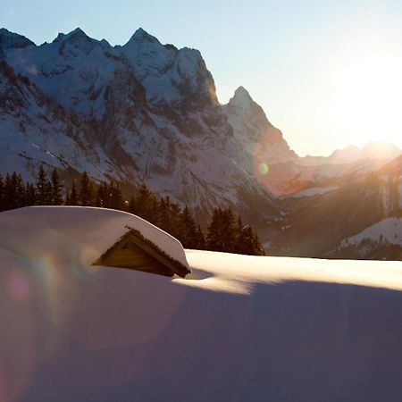 Victoria - Alpine Boutique Hotel & Fine Dining Meiringen Bagian luar foto