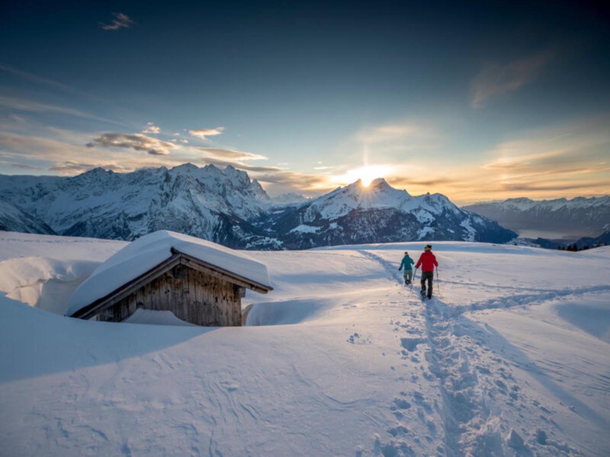 Victoria - Alpine Boutique Hotel & Fine Dining Meiringen Bagian luar foto