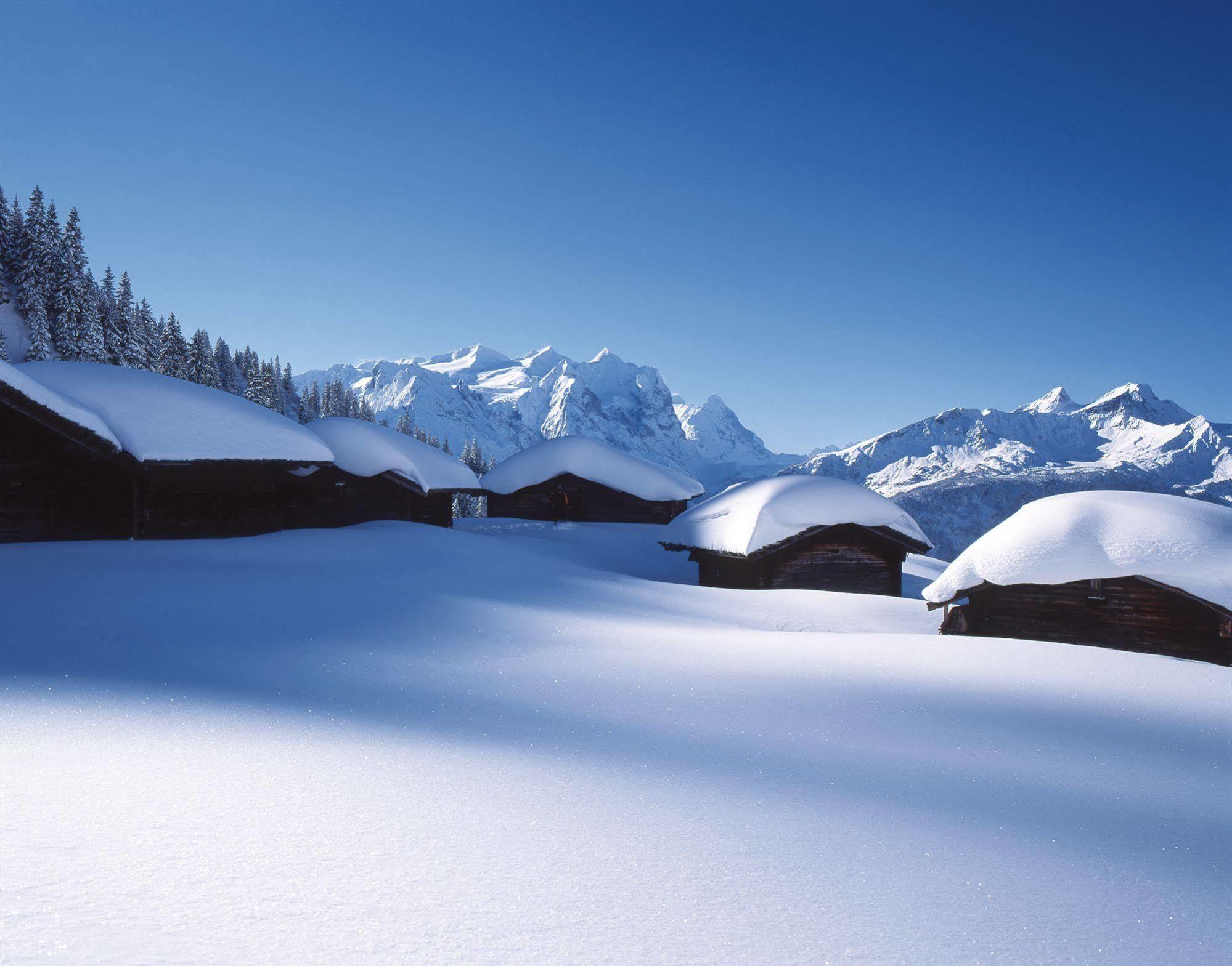 Victoria - Alpine Boutique Hotel & Fine Dining Meiringen Bagian luar foto